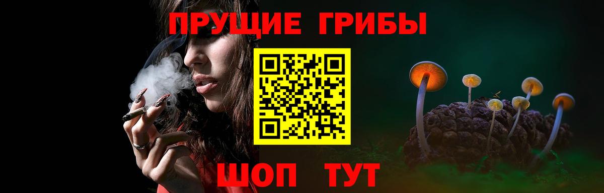 Галлюциногенные грибы прущие грибы  Вход с VPN  Чайковский 